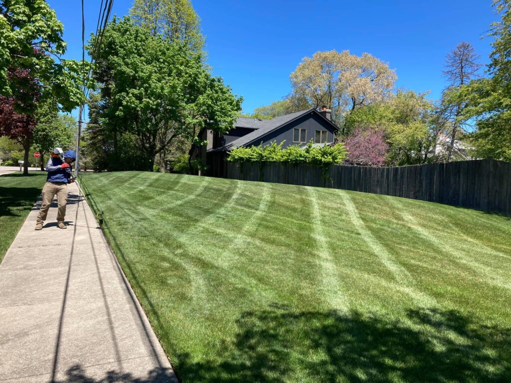 Top soil & Edging Sotelo's Tree & Lawn Care LLC